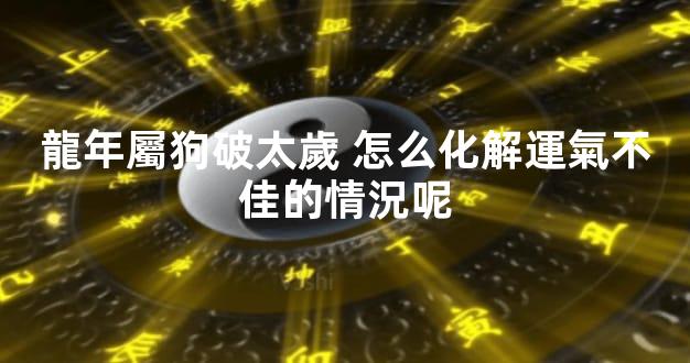 龍年屬狗破太歲 怎么化解運氣不佳的情況呢